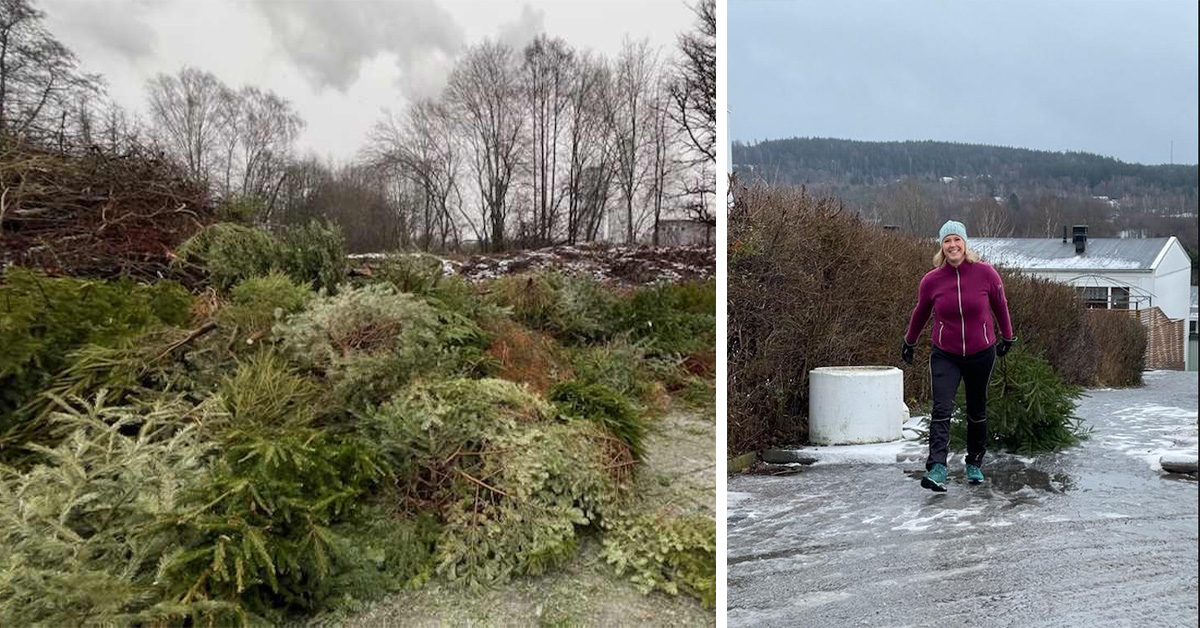 Återvinn din julgran med Lerums föreningar